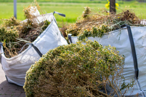 Shed Removal in Whitemarsh Island, GA